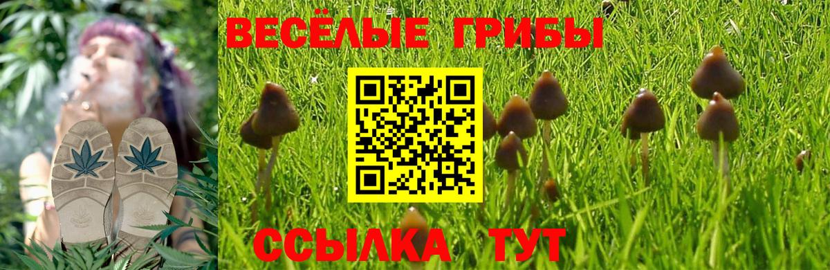 Ижевск  Галлюциногенные грибы Psilocybine cubensis  Вход с VPN 